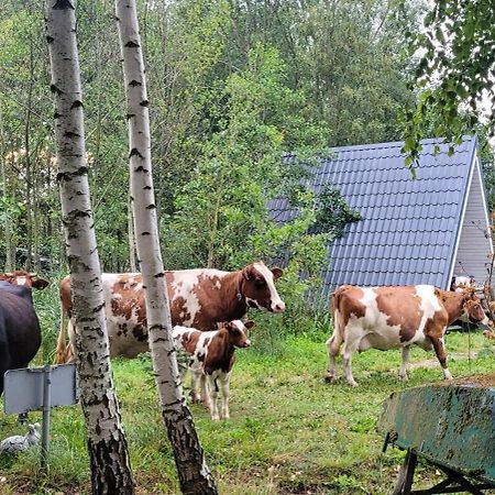 Vigio Brasta Camping Elektrenai Extérieur photo